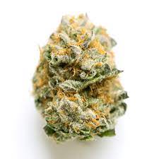 GMOG Marijuana Strain THC 45%