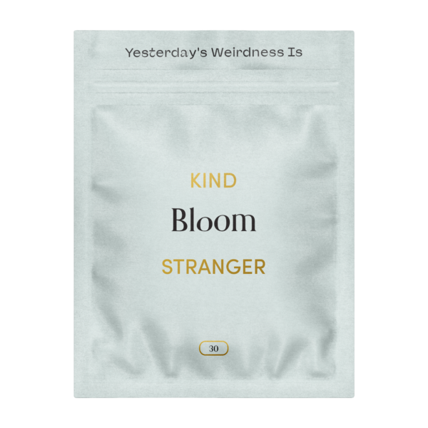 Kind Stranger Bloom