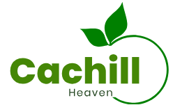 cachill heaven logo