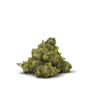 Tropicana Flower – THCA – Sativa