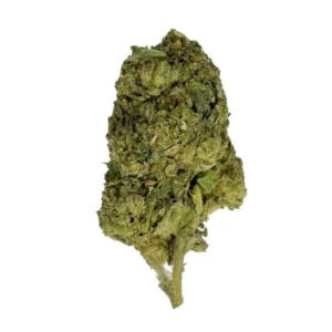 Tropicana Flower – THCA – Sativa