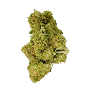 Jet Fuel Gelato Flower – THCA – Sativa