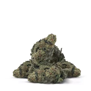 G Flower – THCA – Sativa