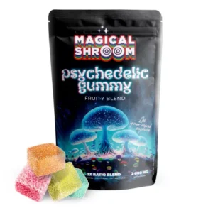 500mg Mushroom Blend Gummies – Fruity Blend – Magical Shroom